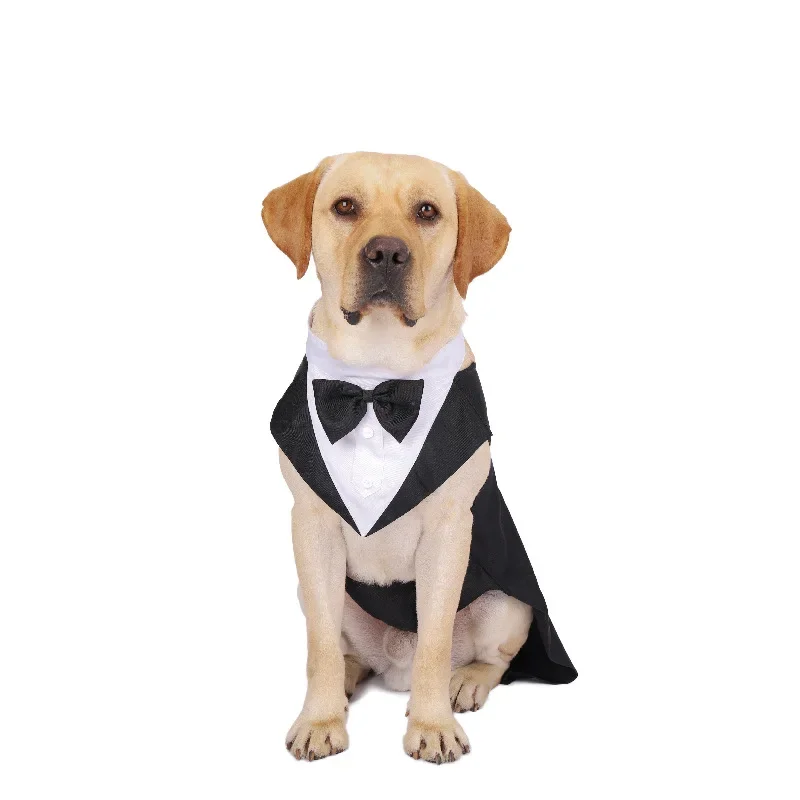 Roupas para Cães de Estimação: - Suit Supply Wedding Party avaliação e preço