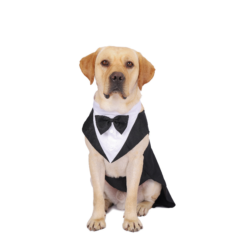 Roupas para cães de estimação, - Suit Supply Wedding Party avaliação e preço