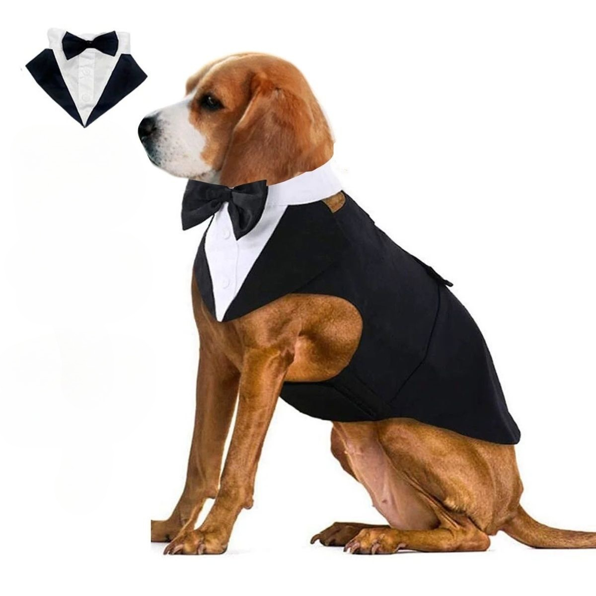 Roupas para Cães de Estimação: - Suit Supply Wedding Party avaliação e preço